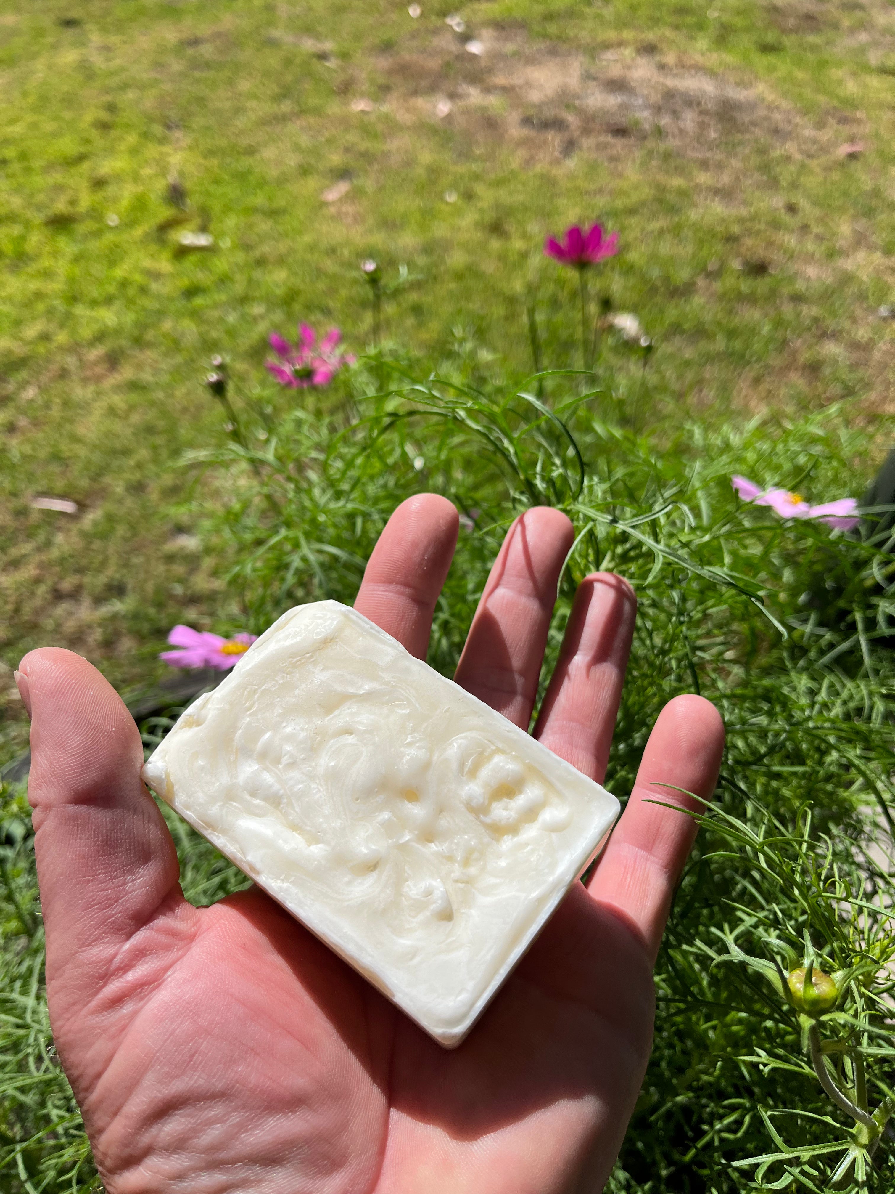 Tallow lavender soap