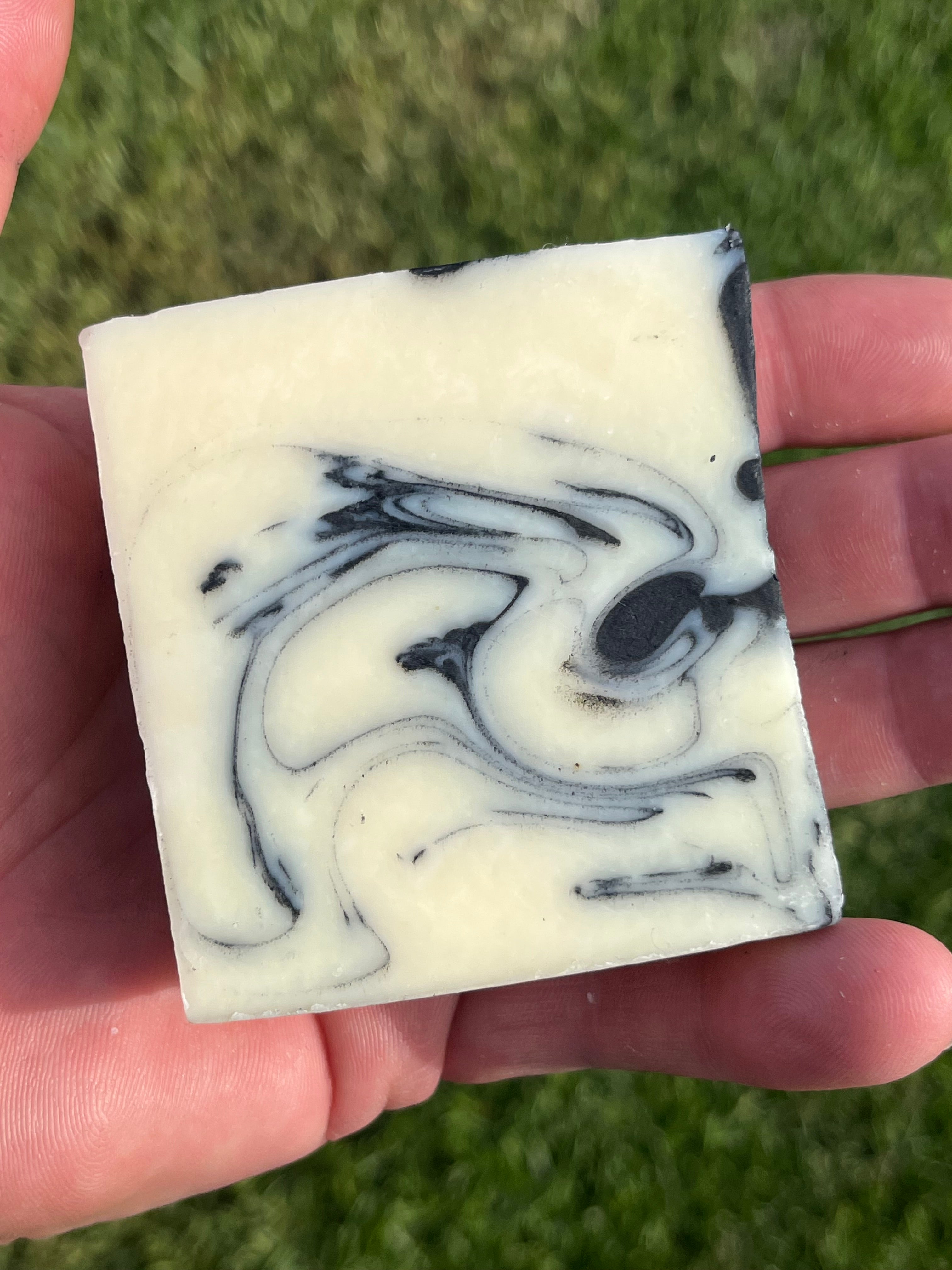 Charcoal lemongrass 'Magic Eye'
